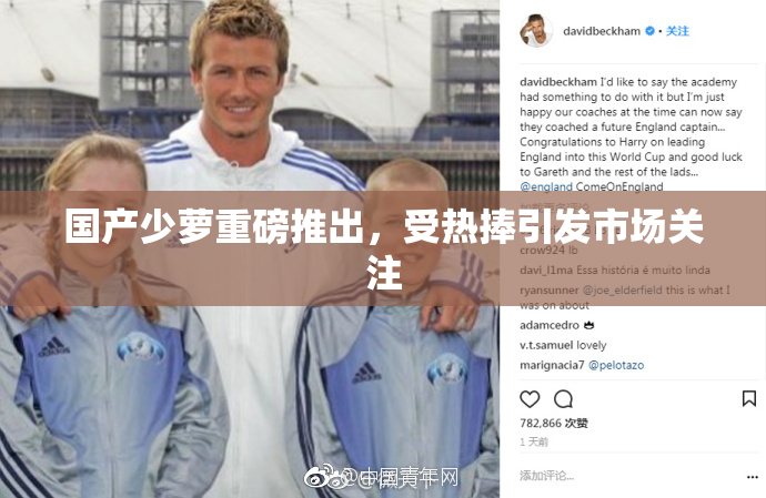 国产少萝重磅推出，受热捧引发市场关注