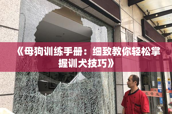《母狗训练手册：细致教你轻松掌握训犬技巧》