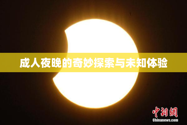 成人夜晚的奇妙探索与未知体验
