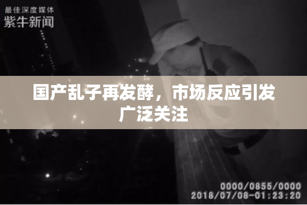 国产乱子再发酵，市场反应引发广泛关注