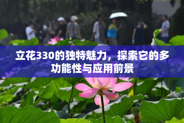 立花330的独特魅力，探索它的多功能性与应用前景