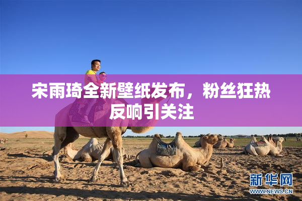 宋雨琦全新壁纸发布，粉丝狂热反响引关注