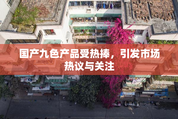国产九色产品受热捧，引发市场热议与关注