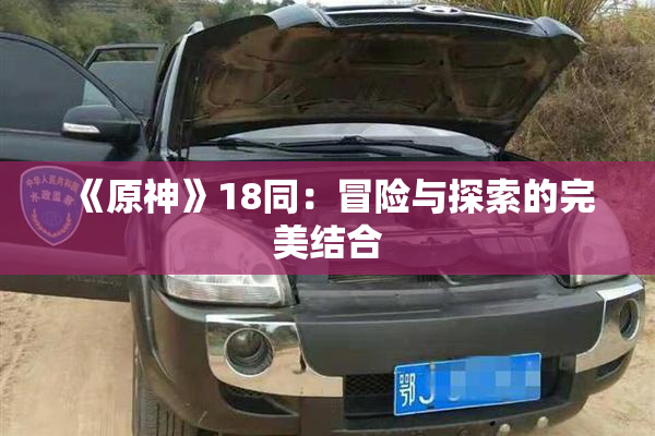 《原神》18同：冒险与探索的完美结合