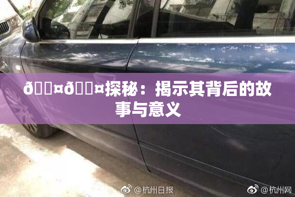 🐤🐤探秘：揭示其背后的故事与意义
