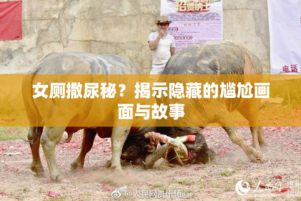 女厕撒尿秘？揭示隐藏的尴尬画面与故事