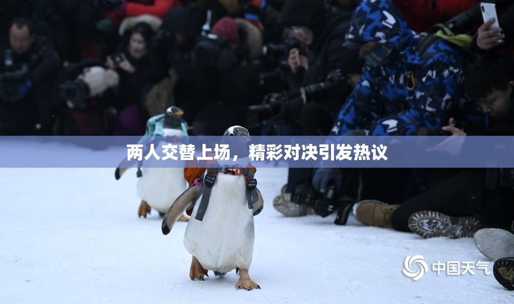 两人交替上场，精彩对决引发热议