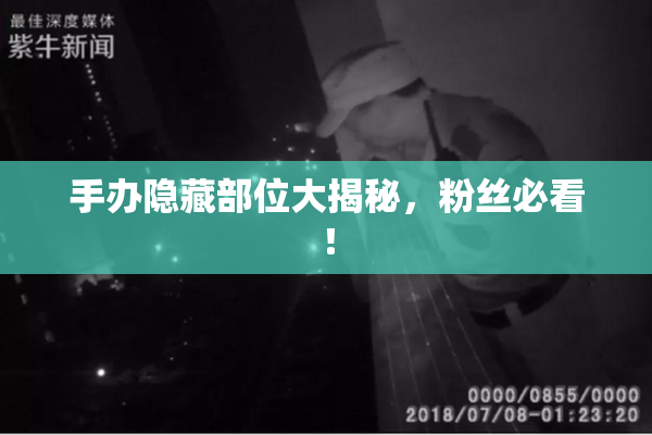 手办隐藏部位大揭秘，粉丝必看！