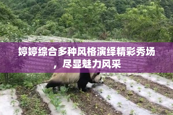 婷婷综合多种风格演绎精彩秀场，尽显魅力风采