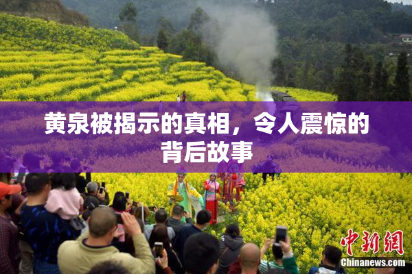 黄泉被揭示的真相，令人震惊的背后故事