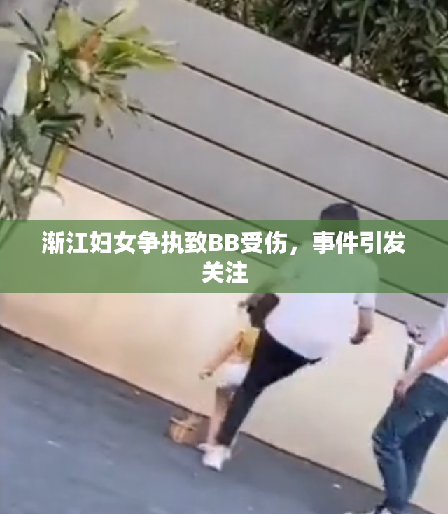 渐江妇女争执致BB受伤，事件引发关注