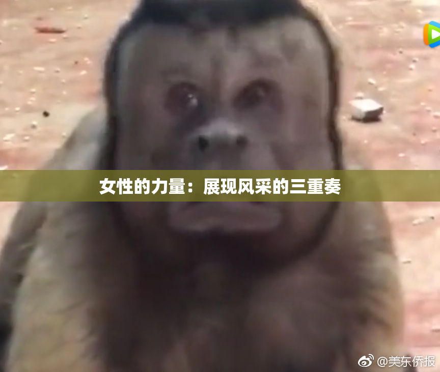 女性的力量：展现风采的三重奏
