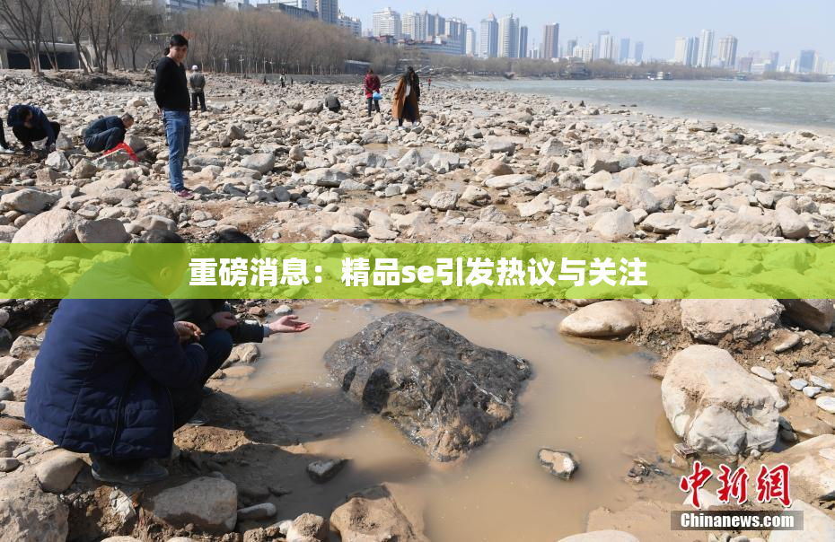 重磅消息：精品se引发热议与关注