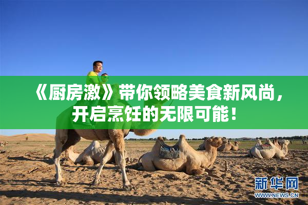 《厨房激》带你领略美食新风尚，开启烹饪的无限可能！