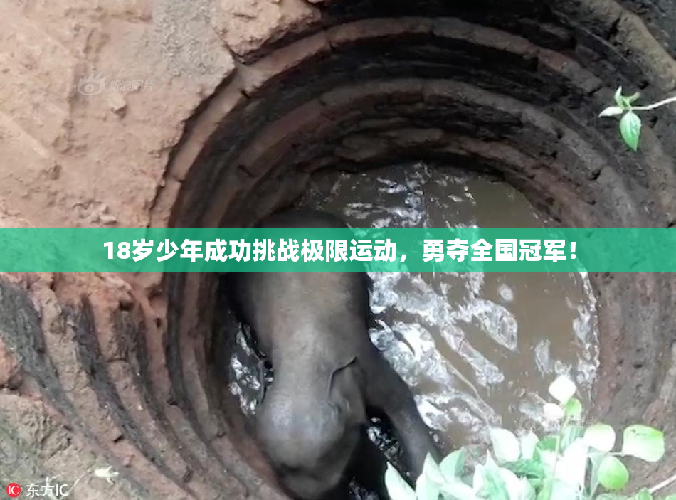 18岁少年成功挑战极限运动，勇夺全国冠军！