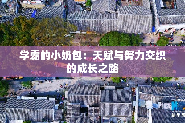 学霸的小奶包：天赋与努力交织的成长之路