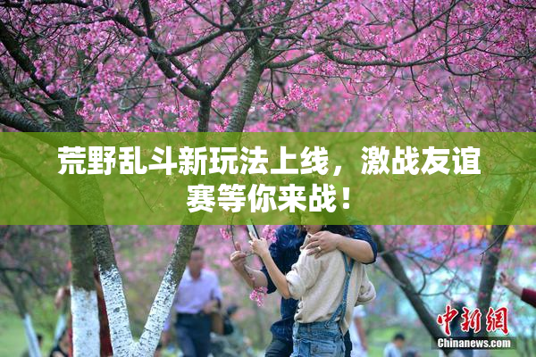 荒野乱斗新玩法上线，激战友谊赛等你来战！