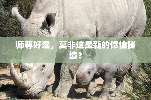 师尊好湿，莫非这是新的修仙秘境？