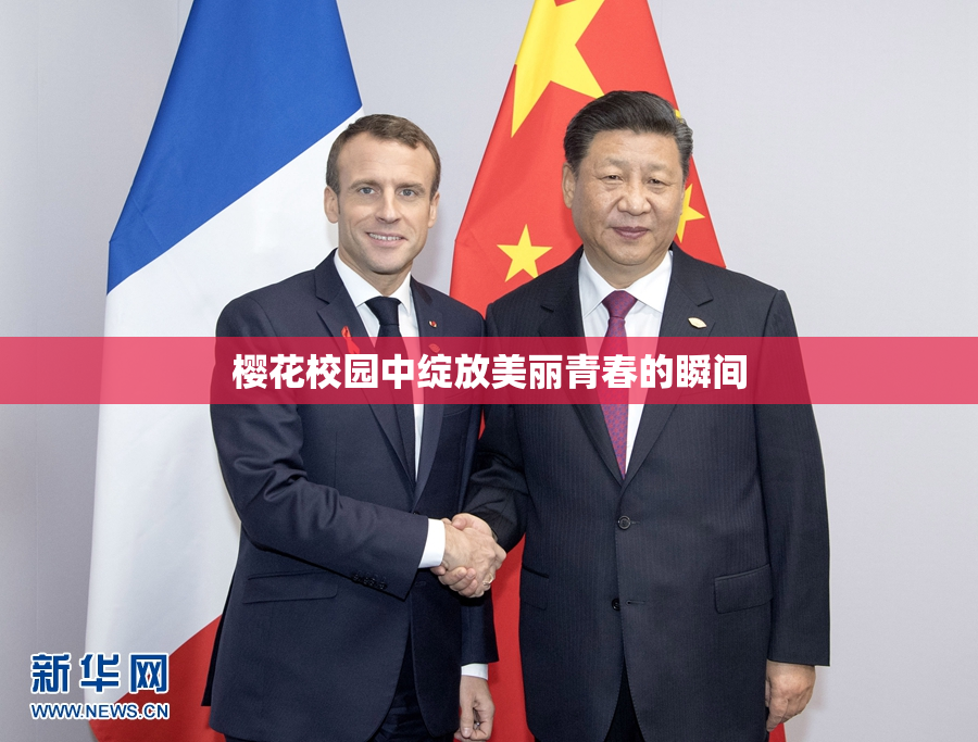 樱花校园中绽放美丽青春的瞬间