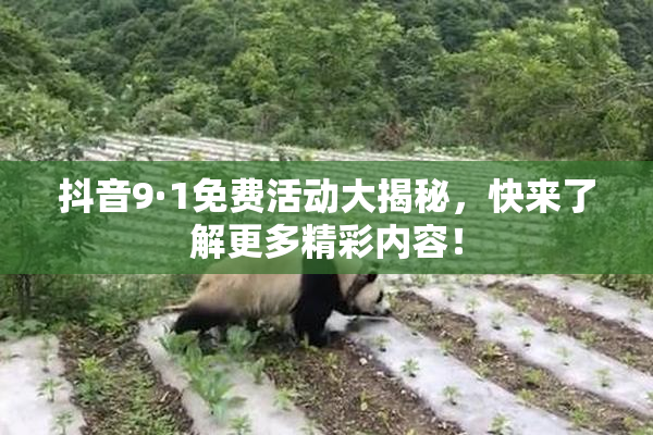抖音9·1免费活动大揭秘，快来了解更多精彩内容！