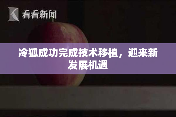 冷狐成功完成技术移植，迎来新发展机遇