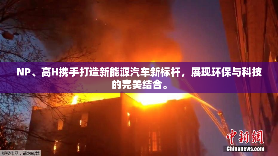 NP、高H携手打造新能源汽车新标杆，展现环保与科技的完美结合。