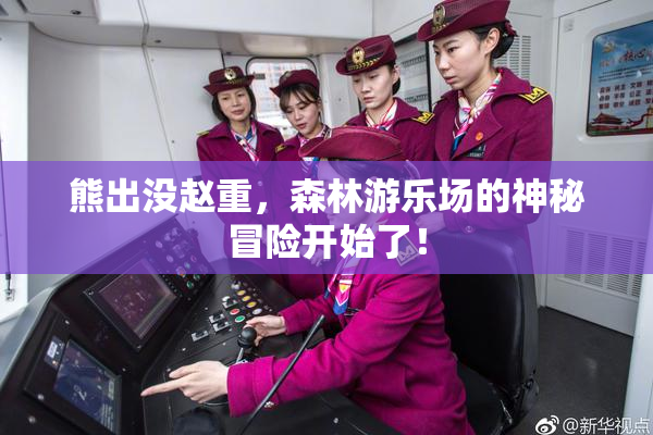 熊出没赵重，森林游乐场的神秘冒险开始了！