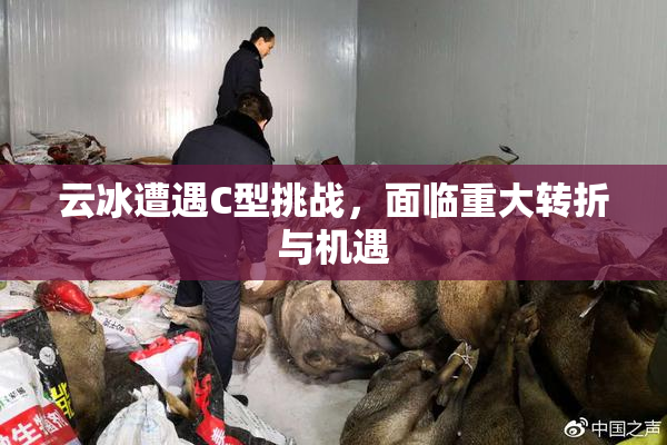 云冰遭遇C型挑战，面临重大转折与机遇