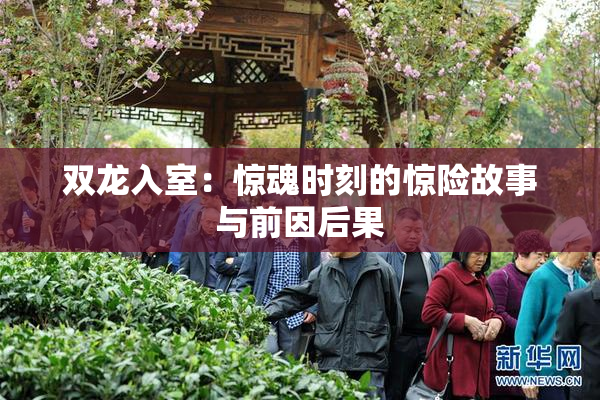 双龙入室：惊魂时刻的惊险故事与前因后果