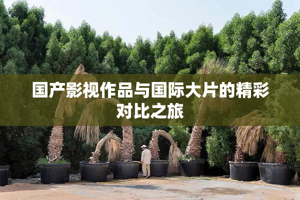 国产影视作品与国际大片的精彩对比之旅