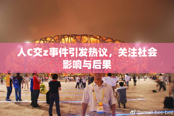 人C交z事件引发热议，关注社会影响与后果