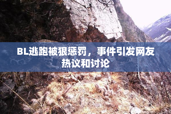 BL逃跑被狠惩罚，事件引发网友热议和讨论
