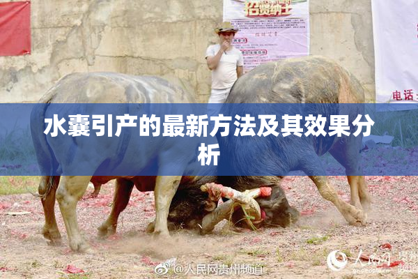 水囊引产的最新方法及其效果分析