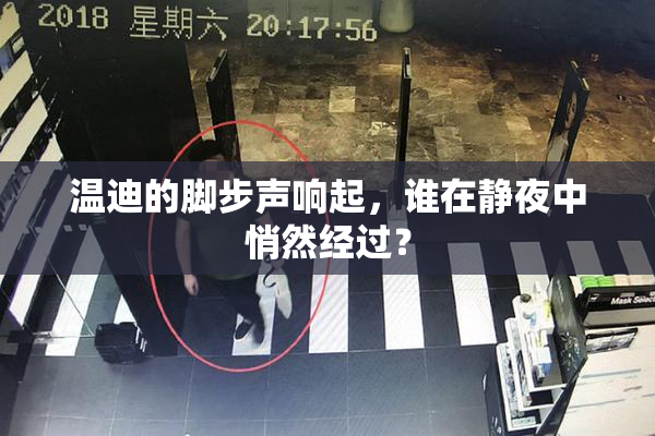 温迪的脚步声响起，谁在静夜中悄然经过？