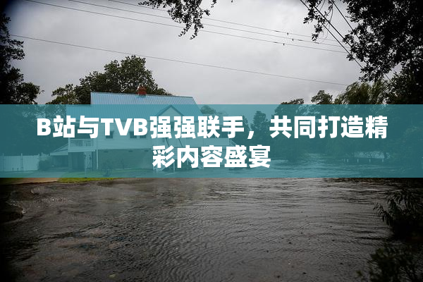 B站与TVB强强联手，共同打造精彩内容盛宴