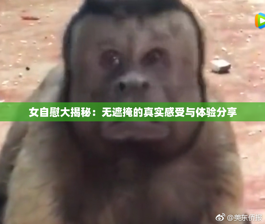 女自慰大揭秘：无遮掩的真实感受与体验分享