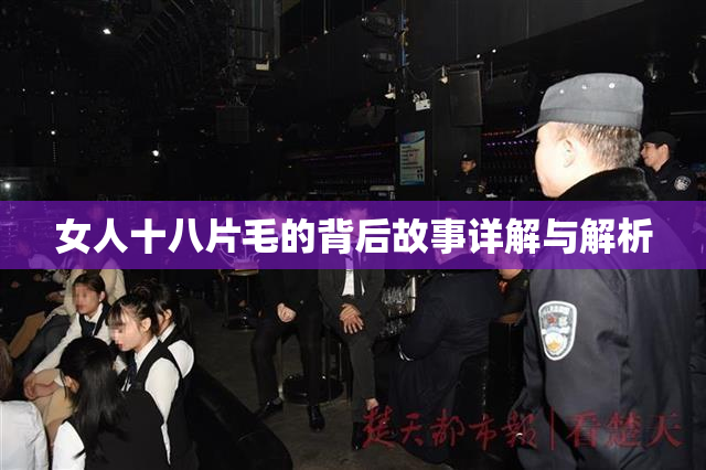 女人十八片毛的背后故事详解与解析