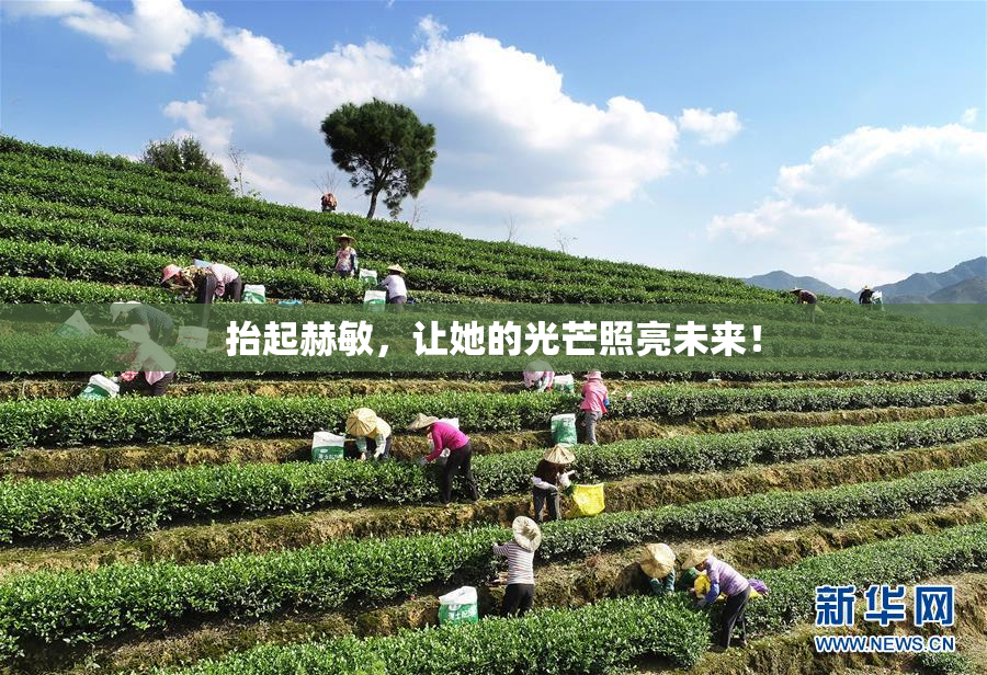 抬起赫敏，让她的光芒照亮未来！