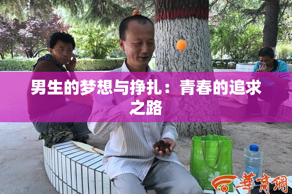 男生的梦想与挣扎：青春的追求之路