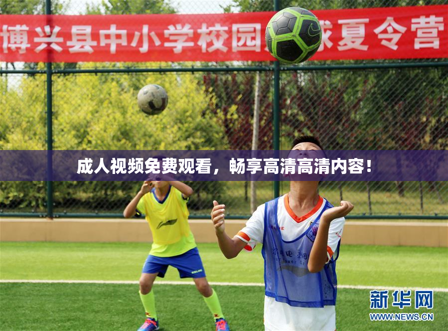 成人视频免费观看，畅享高清高清内容！