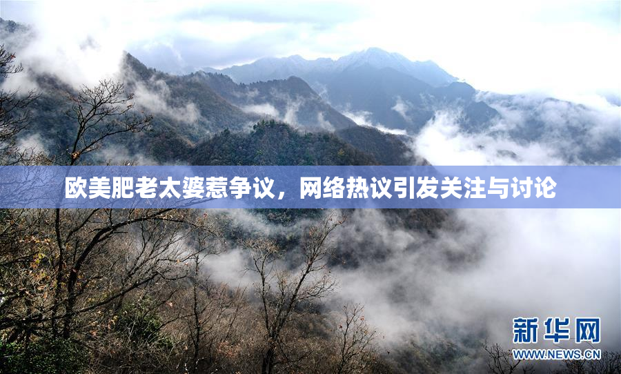 欧美肥老太婆惹争议，网络热议引发关注与讨论