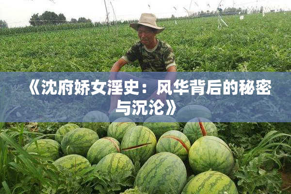 《沈府娇女淫史：风华背后的秘密与沉沦》