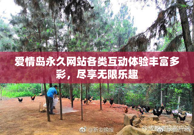 爱情岛永久网站各类互动体验丰富多彩，尽享无限乐趣
