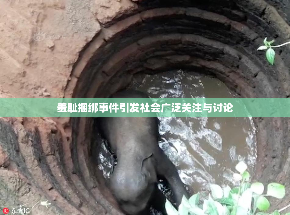 羞耻捆绑事件引发社会广泛关注与讨论