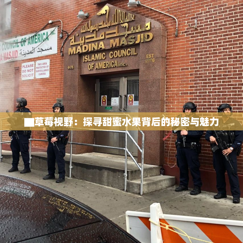 ▇草莓视野：探寻甜蜜水果背后的秘密与魅力