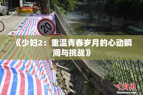 《少妇2：重温青春岁月的心动瞬间与挑战》