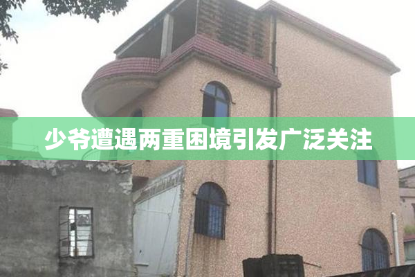 少爷遭遇两重困境引发广泛关注
