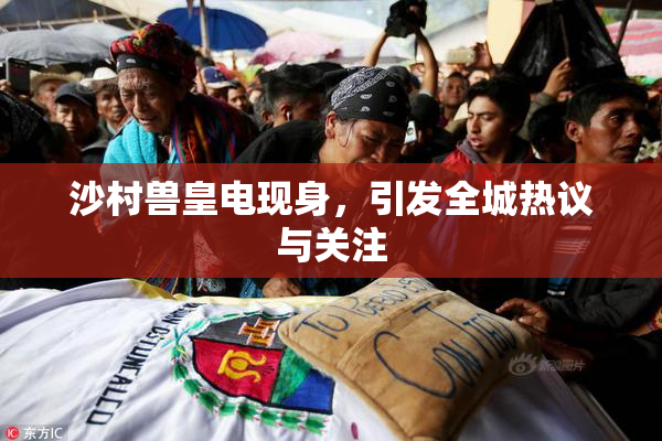 沙村兽皇电现身，引发全城热议与关注