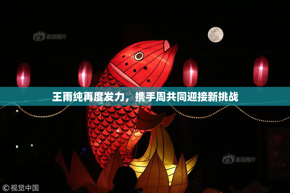 王雨纯再度发力，携手周共同迎接新挑战