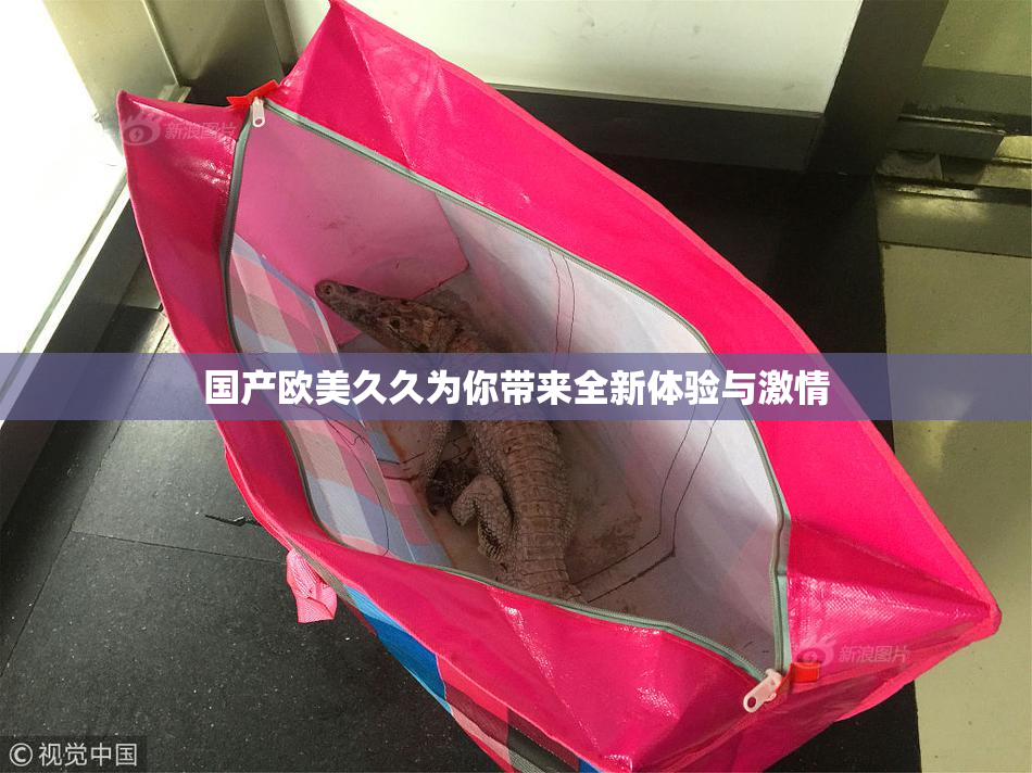 国产欧美久久为你带来全新体验与激情